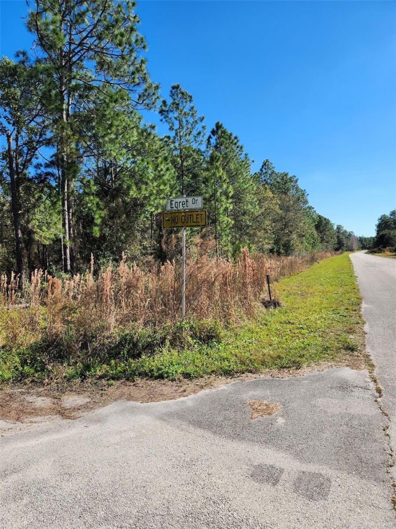 Egret Drive, Frostproof, FL 33843 Photo
