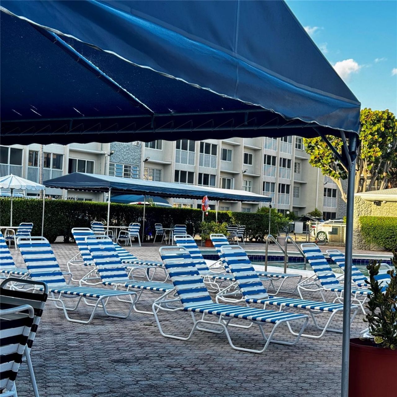 215 SE 3rd Ave, Unit 203A, Hallandale Beach, FL 33009 Photo