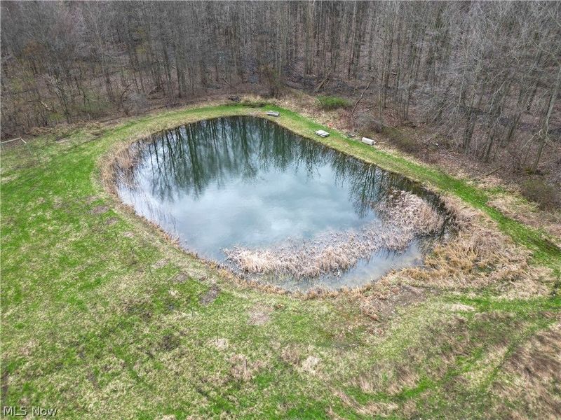 2750 Buie Road, Kingsville, OH 44048 Photo 44