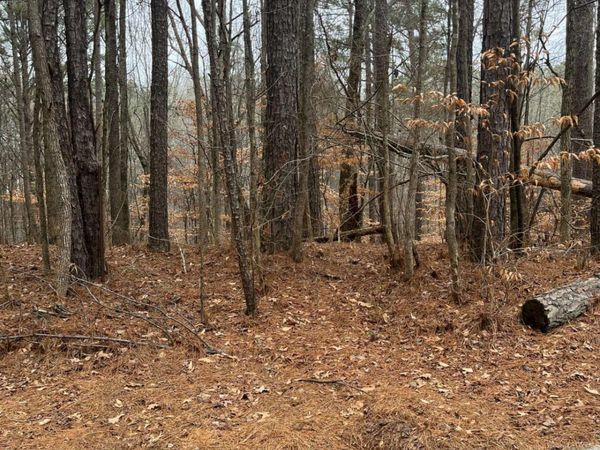 LOT 3 Lake Esther Drive, Fairburn, GA 30213