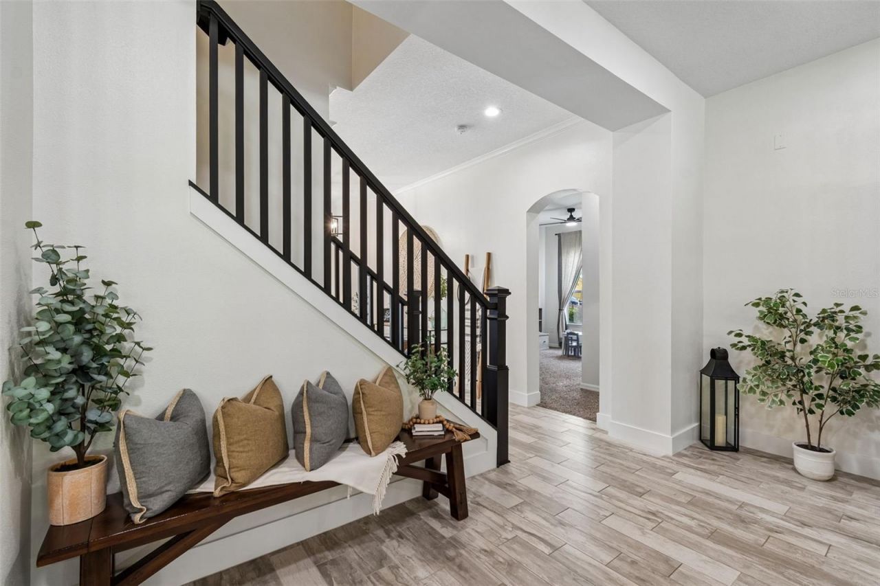 7441 Ambleside Drive, Land O Lakes, FL 34637 Photo