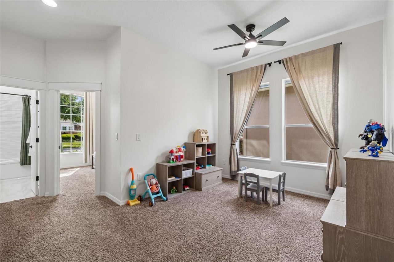 7441 Ambleside Drive, Land O Lakes, FL 34637 Photo