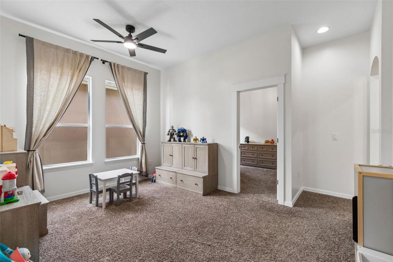 7441 Ambleside Drive, Land O Lakes, FL 34637 Photo