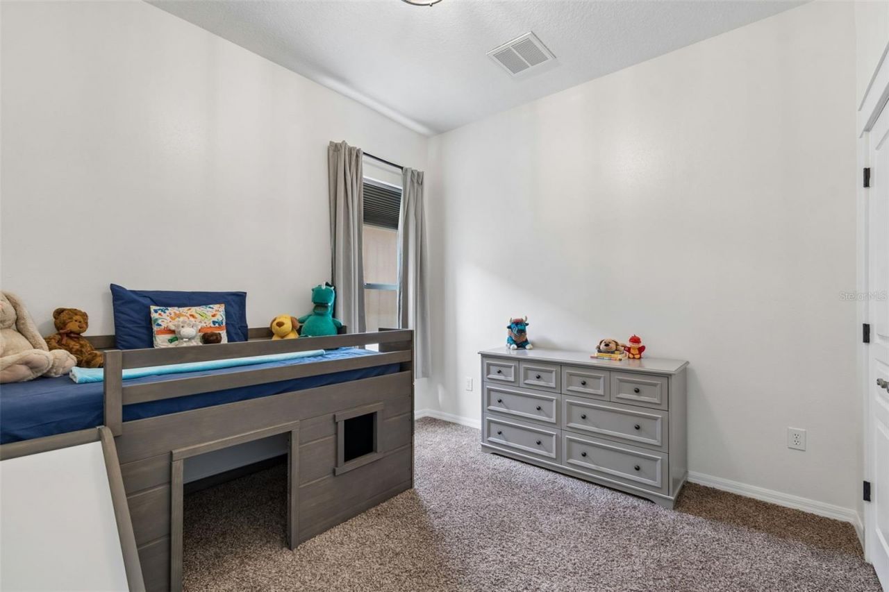 7441 Ambleside Drive, Land O Lakes, FL 34637 Photo