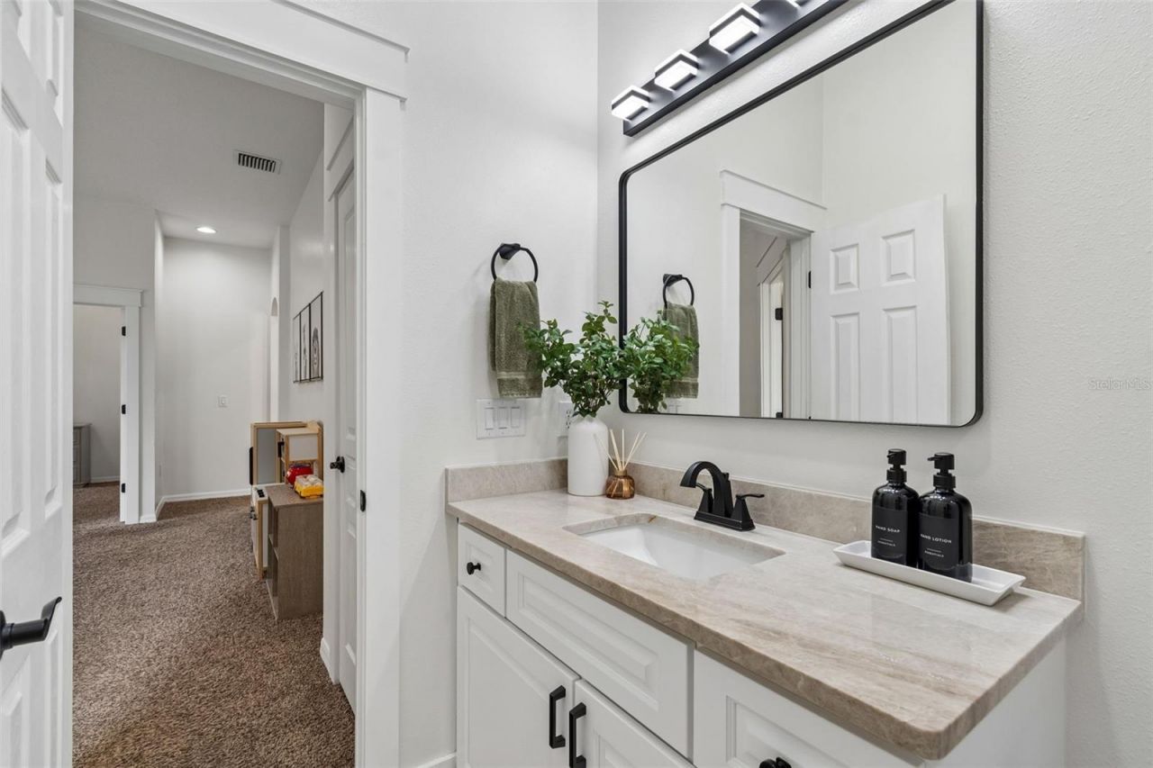 7441 Ambleside Drive, Land O Lakes, FL 34637 Photo