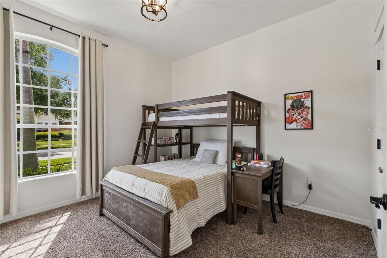 7441 Ambleside Drive, Land O Lakes, FL 34637 Photo