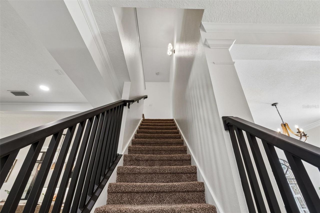 7441 Ambleside Drive, Land O Lakes, FL 34637 Photo