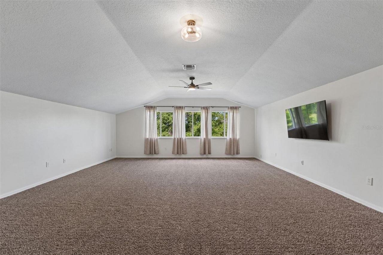 7441 Ambleside Drive, Land O Lakes, FL 34637 Photo