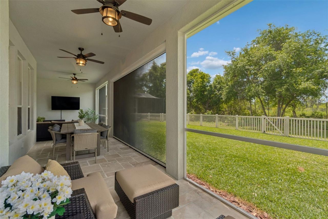 7441 Ambleside Drive, Land O Lakes, FL 34637 Photo