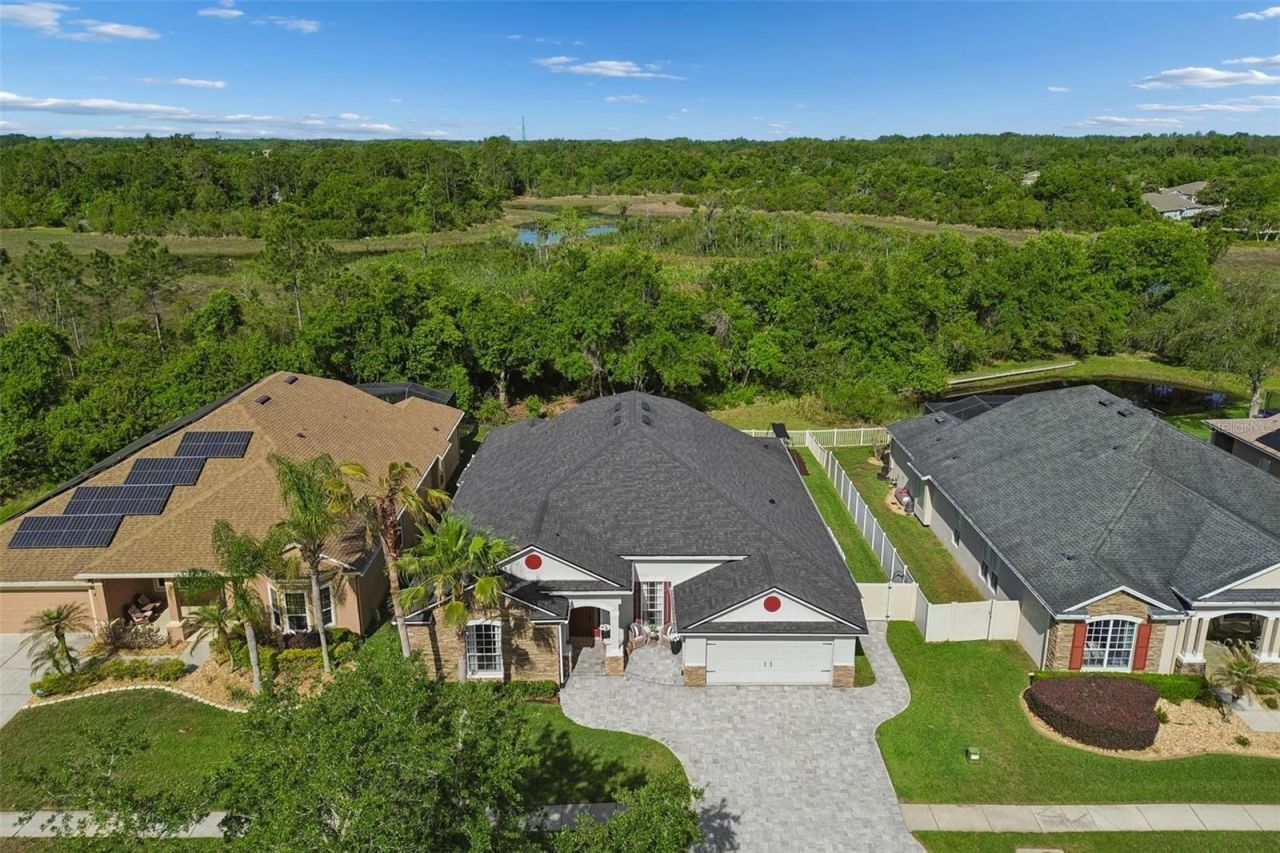 7441 Ambleside Drive, Land O Lakes, FL 34637 Photo