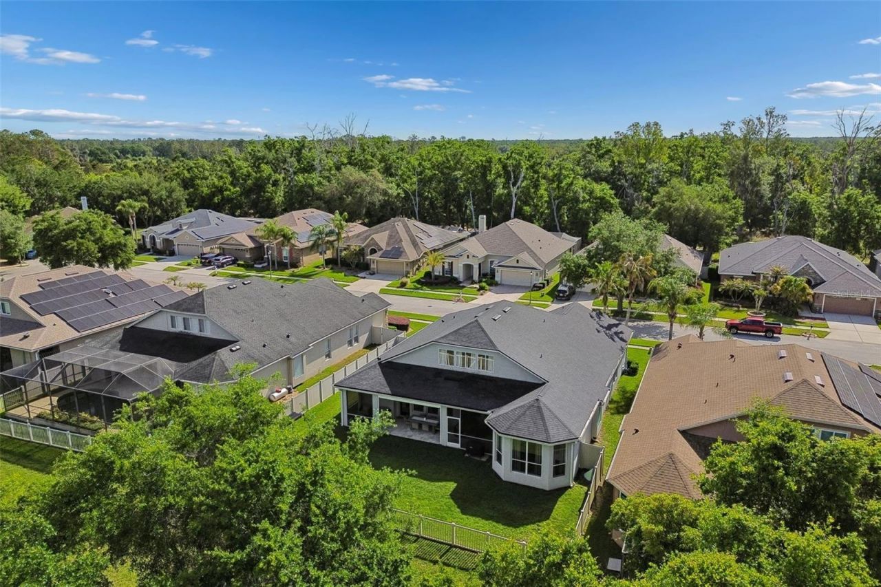 7441 Ambleside Drive, Land O Lakes, FL 34637 Photo