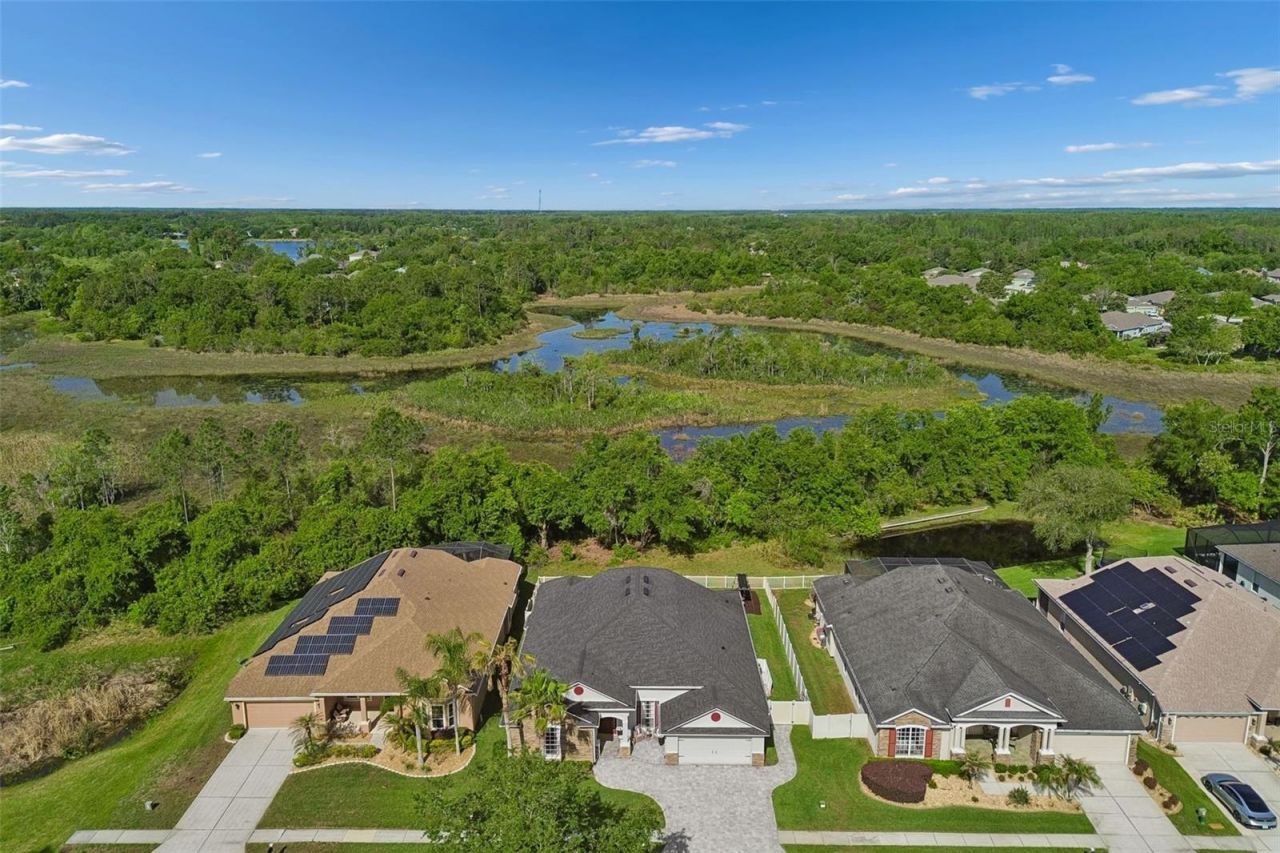 7441 Ambleside Drive, Land O Lakes, FL 34637 Photo