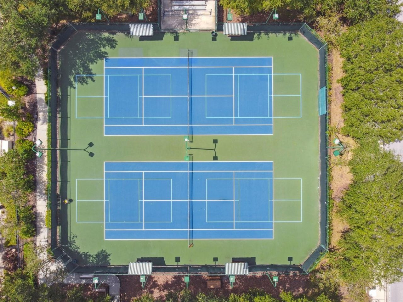 7441 Ambleside Drive, Land O Lakes, FL 34637 Photo