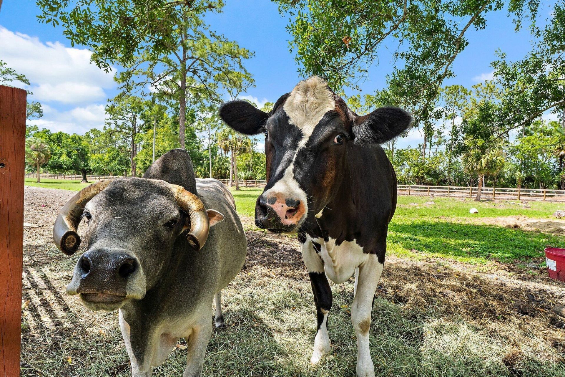 16411 Jupiter Farms Road, Jupiter, FL 33478 Photo