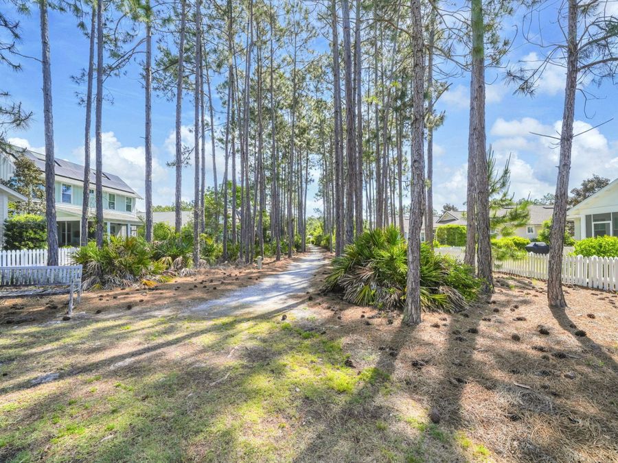Property Image 51
