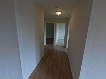 21665 Manton School Road, Manton, CA 95662 Photo