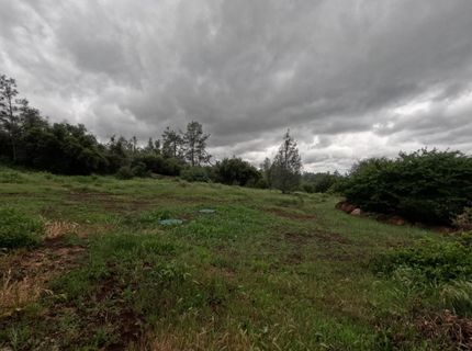 21665 Manton School Road, Manton, CA 95662 Photo