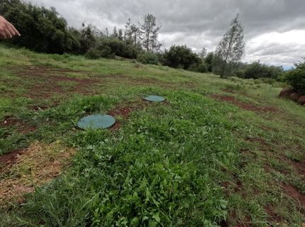 21665 Manton School Road, Manton, CA 95662 Photo