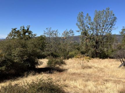 21665 Manton School Road, Manton, CA 95662 Photo