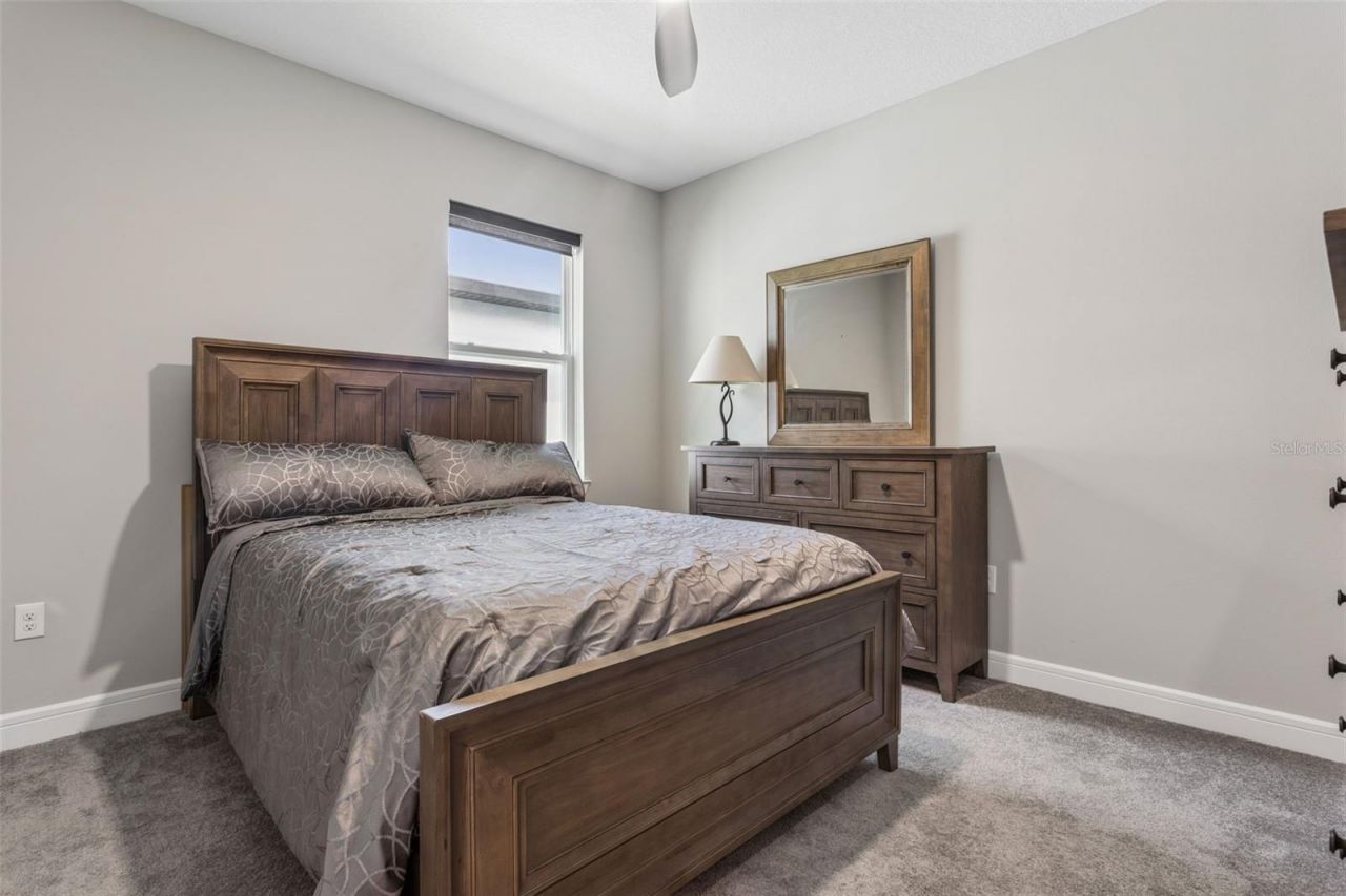 6382 Bradford Woods Drive, Zephyrhills, FL 33542 Photo