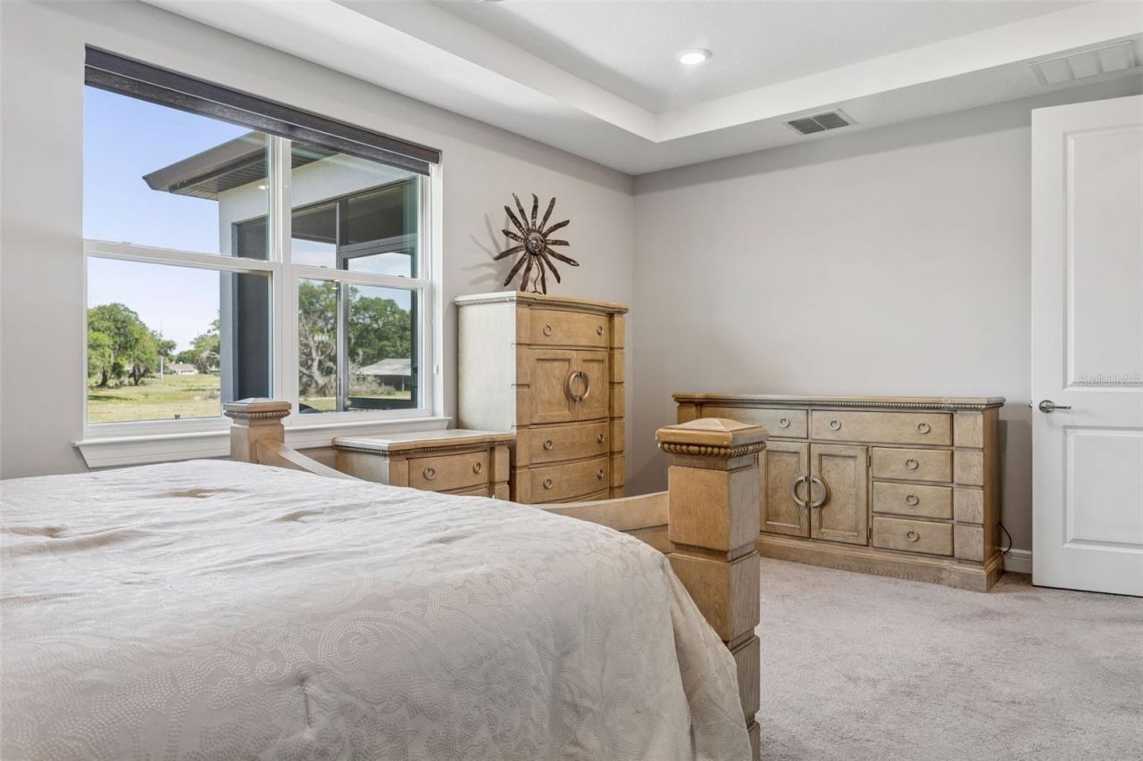 6382 Bradford Woods Drive, Zephyrhills, FL 33542 Photo