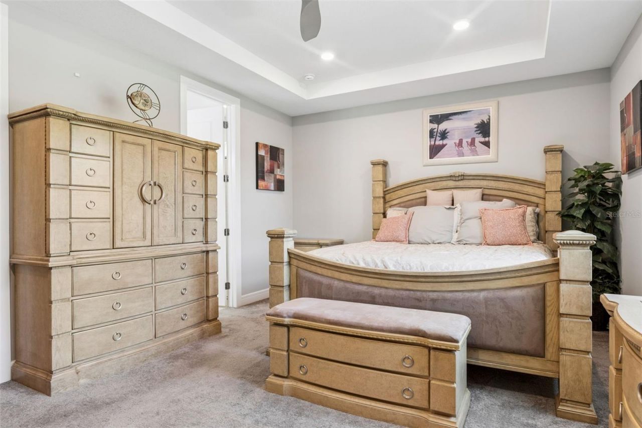 6382 Bradford Woods Drive, Zephyrhills, FL 33542 Photo