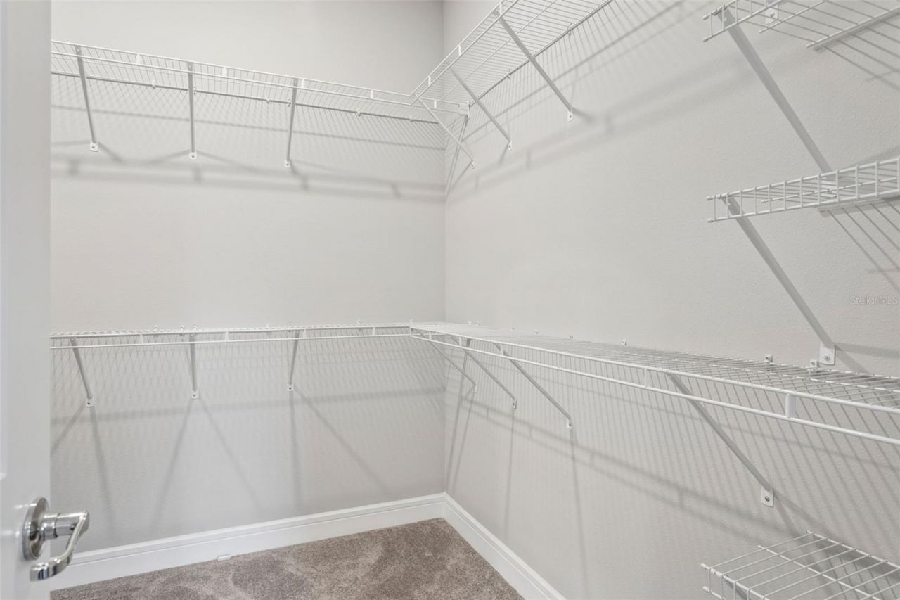 6382 Bradford Woods Drive, Zephyrhills, FL 33542 Photo