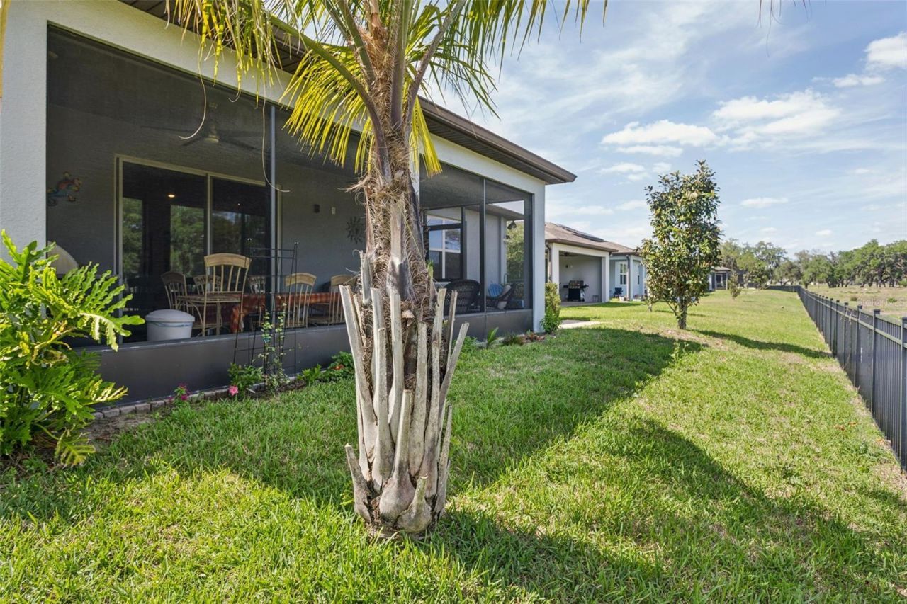 6382 Bradford Woods Drive, Zephyrhills, FL 33542 Photo