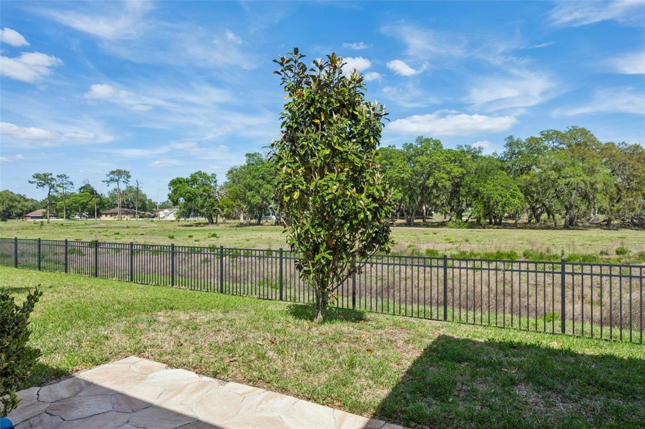 6382 Bradford Woods Drive, Zephyrhills, FL 33542 Photo