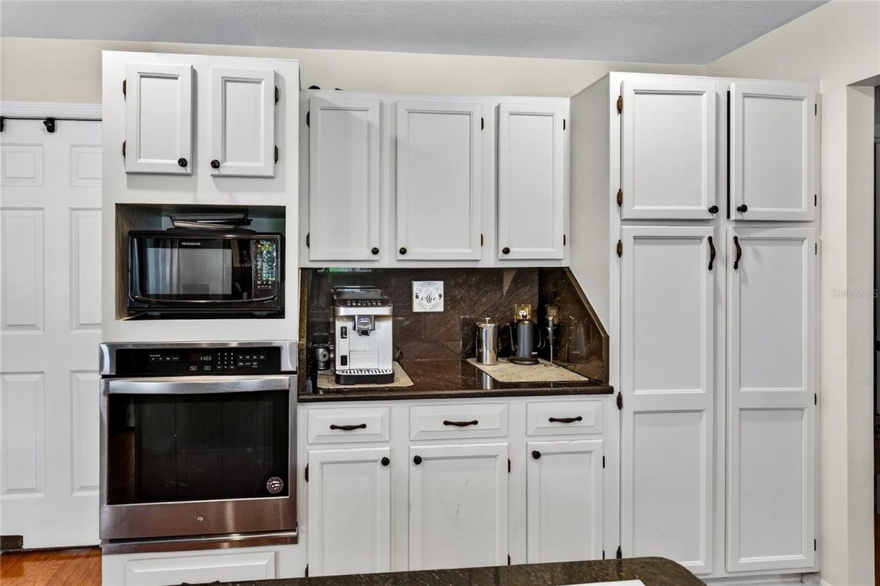 32040 Chestnut Lane, Sorrento, FL 32776 Photo