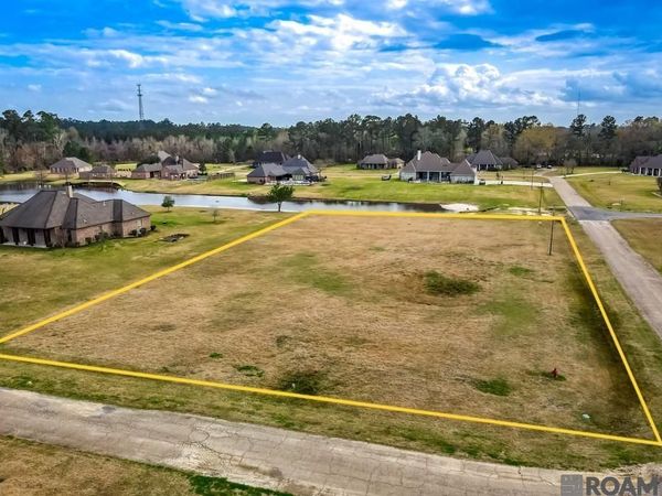 21050 Oak Alley Dr, Livingston, LA 70754