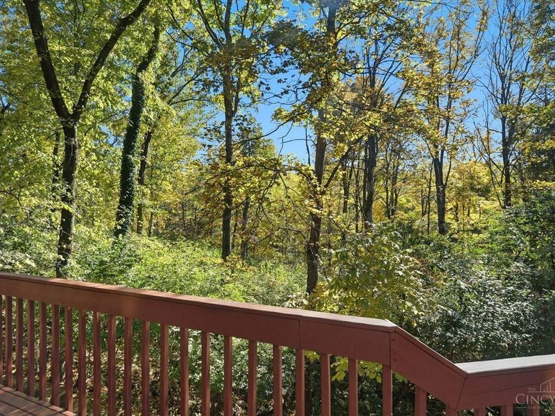 3843 Blackwood Court, Blue Ash, OH 45236 Photo 76