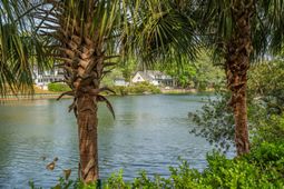 593 Marshgrass Boulevard photo 4