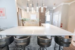 4741 Arco Lane photo 4