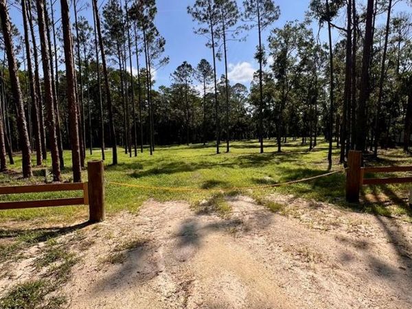 00 NE Webb Ln, Steinhatchee, FL 32359