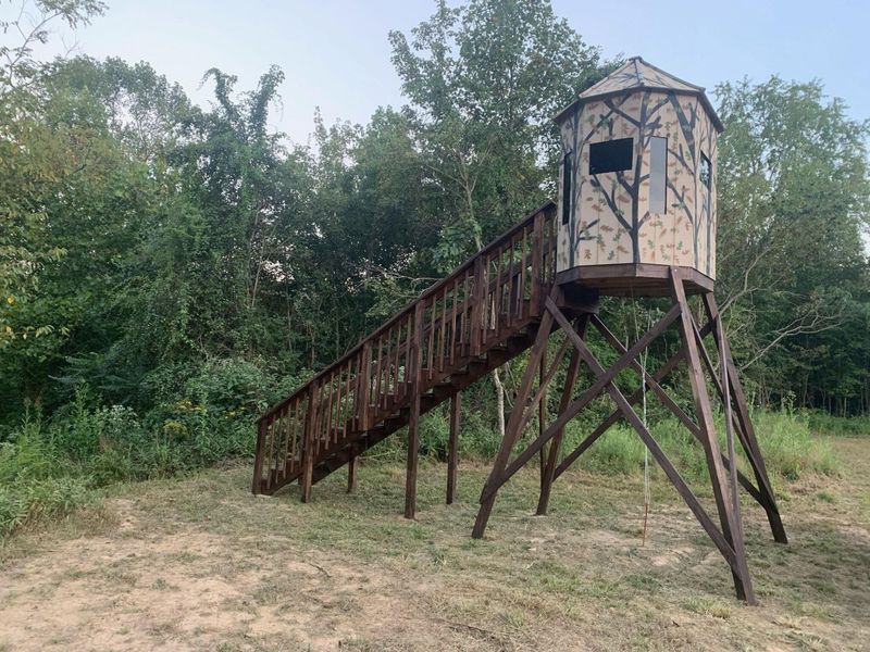 323 Bronx Corner Road, Ray, OH 45672 Photo 46