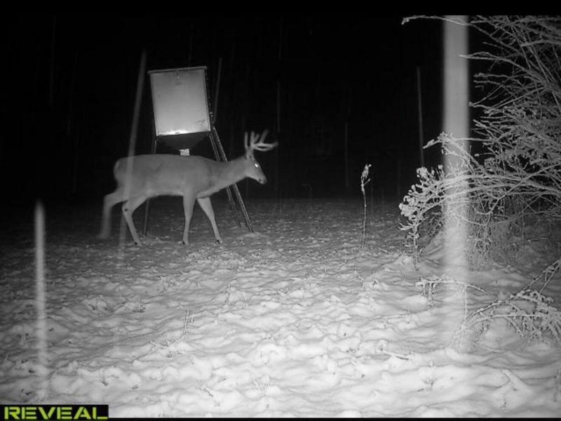 323 Bronx Corner Road, Ray, OH 45672 Photo 48