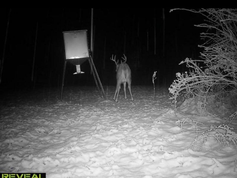 323 Bronx Corner Road, Ray, OH 45672 Photo 49