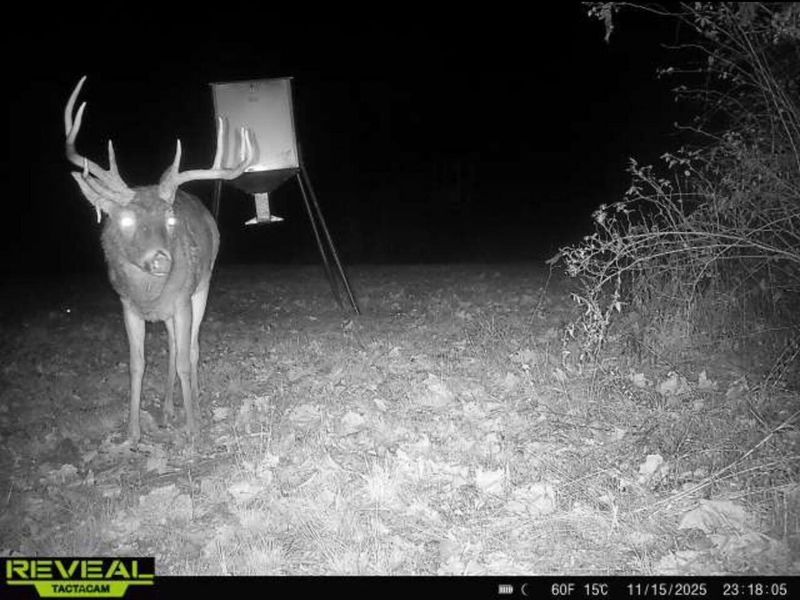 323 Bronx Corner Road, Ray, OH 45672 Photo 50