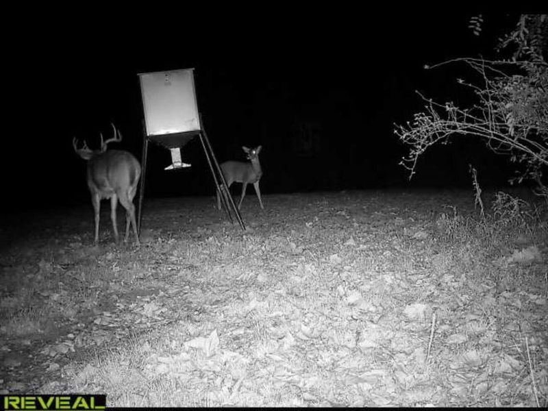 323 Bronx Corner Road, Ray, OH 45672 Photo 51