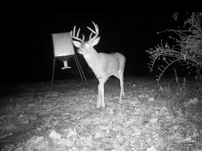 323 Bronx Corner Road, Ray, OH 45672 Photo 52