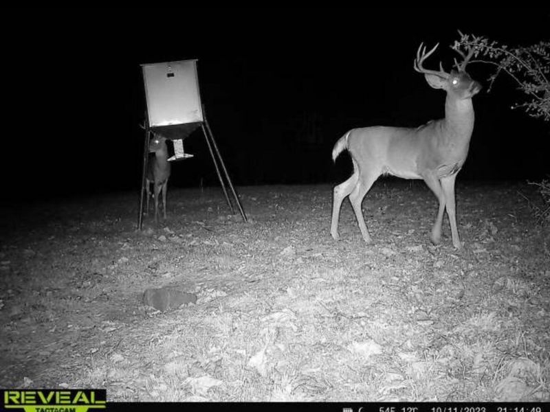 323 Bronx Corner Road, Ray, OH 45672 Photo 53