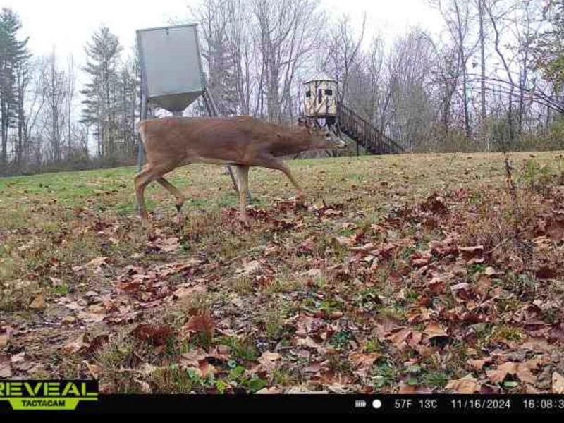 323 Bronx Corner Road, Ray, OH 45672 Photo 54