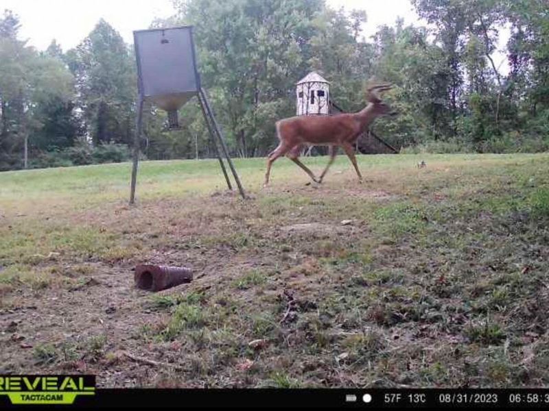 323 Bronx Corner Road, Ray, OH 45672 Photo 55