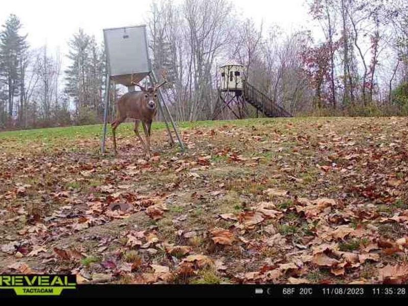 323 Bronx Corner Road, Ray, OH 45672 Photo 56