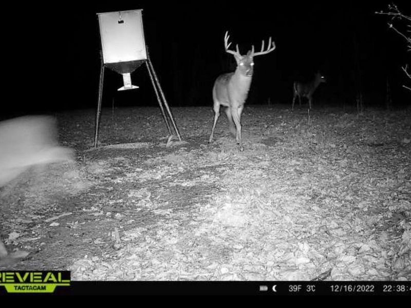 323 Bronx Corner Road, Ray, OH 45672 Photo 57