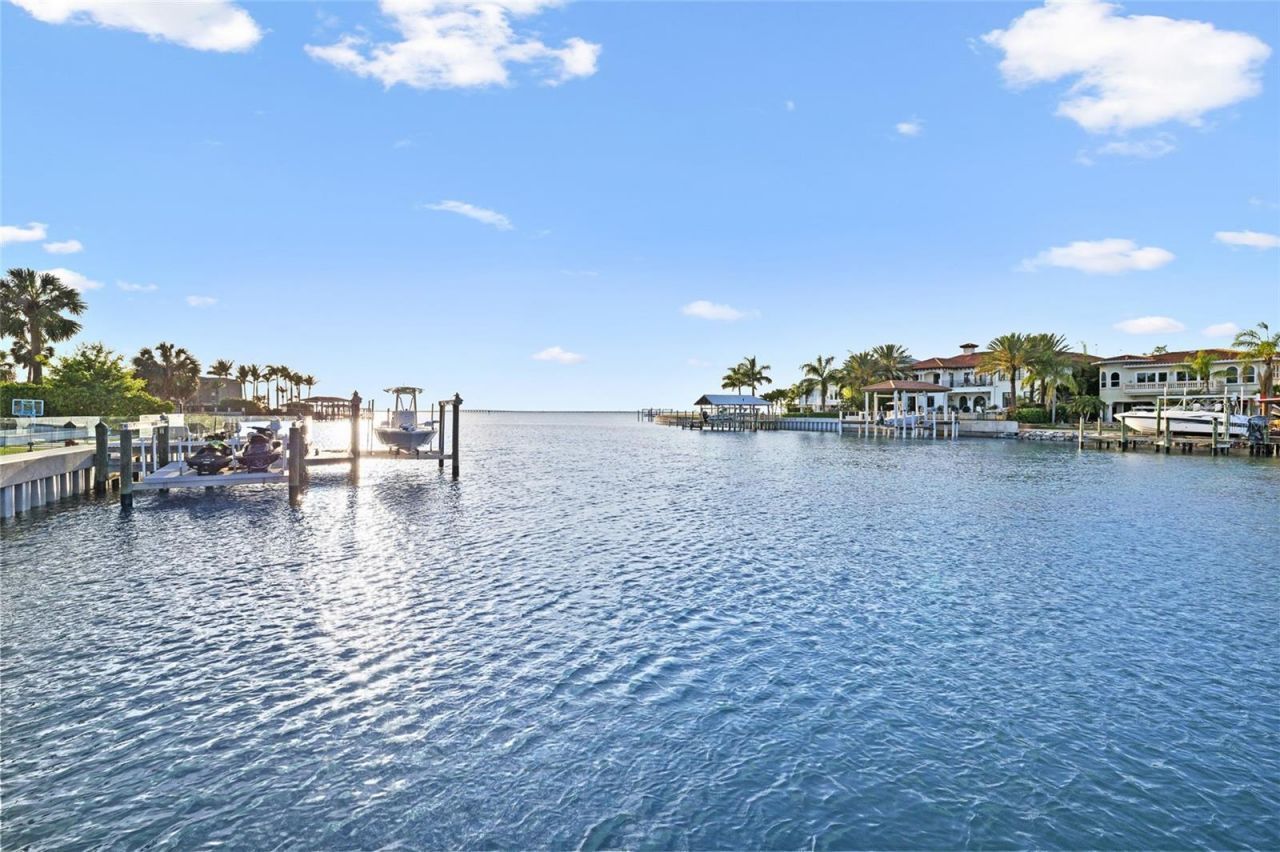 5111 W Homer Avenue, Tampa, FL 33629 Photo