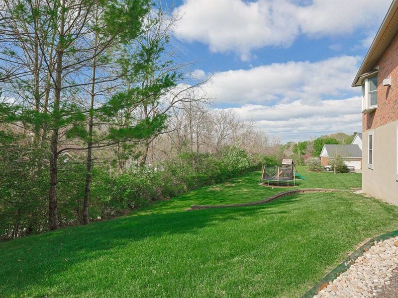 6377 Conifer Lane, Cincinnati, OH 45247 Photo 50