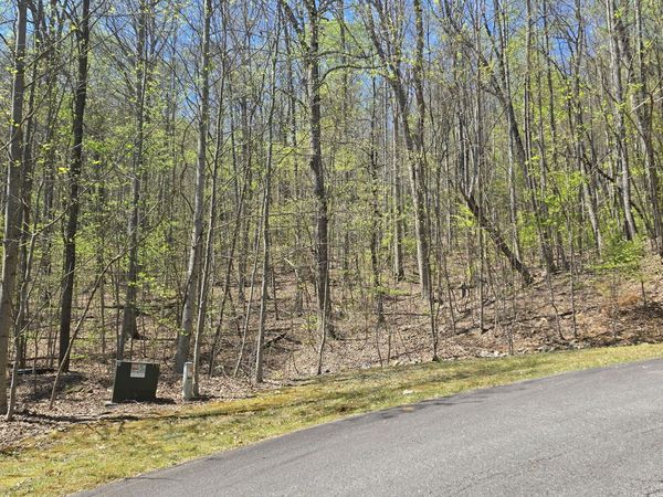 LOT 18 Overlook Loop, Young Harris, GA 30582