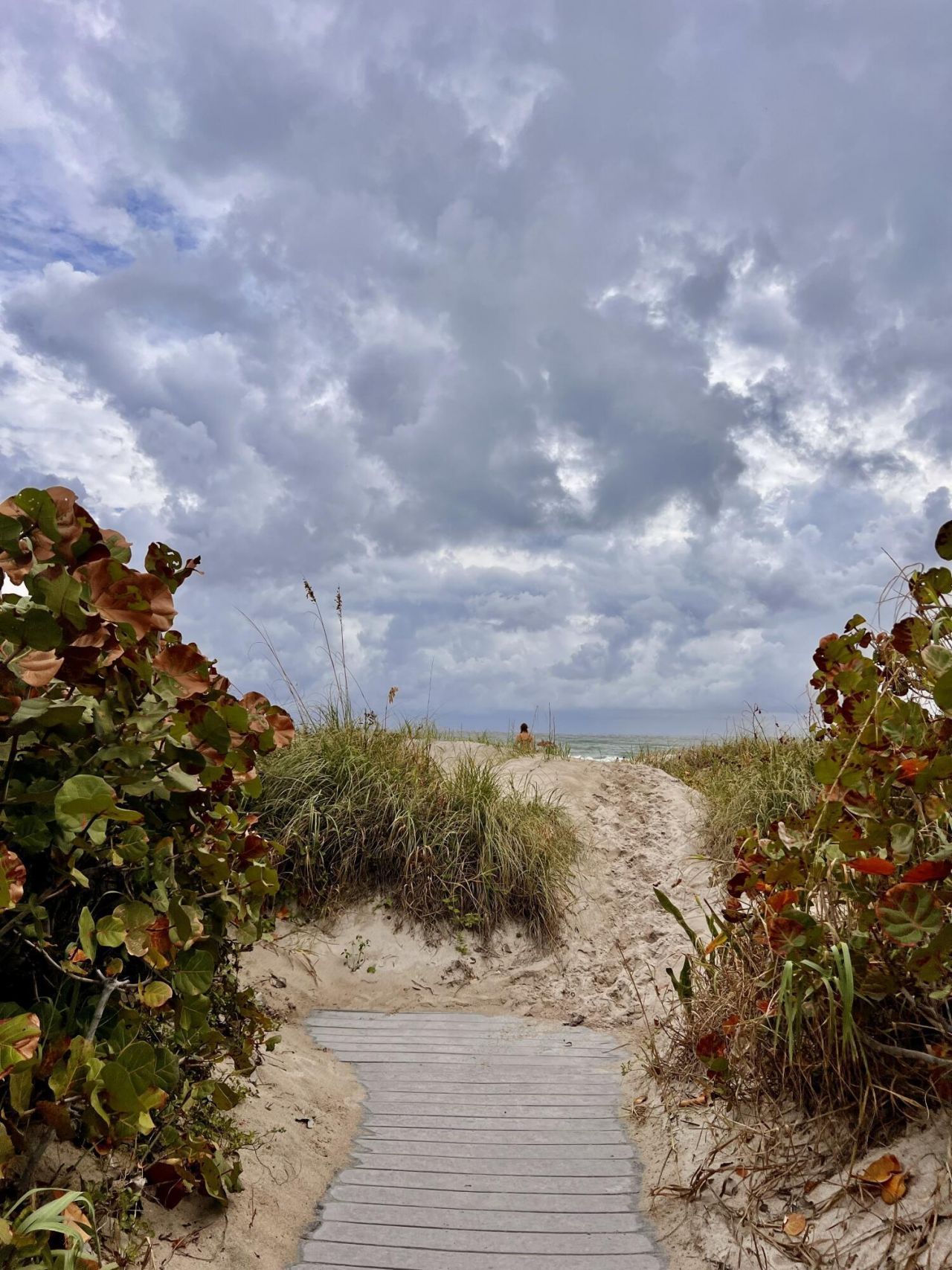 3400 N Ocean Drive, Unit 1806, Singer Island, FL 33404 Photo